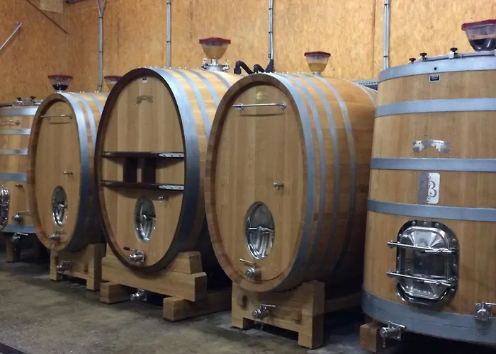 Familial Entre Angers Et Saumur - Fr-1-622-104 Blaison-Saint-Sulpice