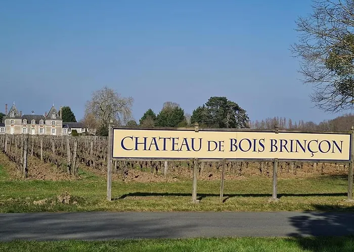 Familial Entre Angers Et Saumur - Fr-1-622-104